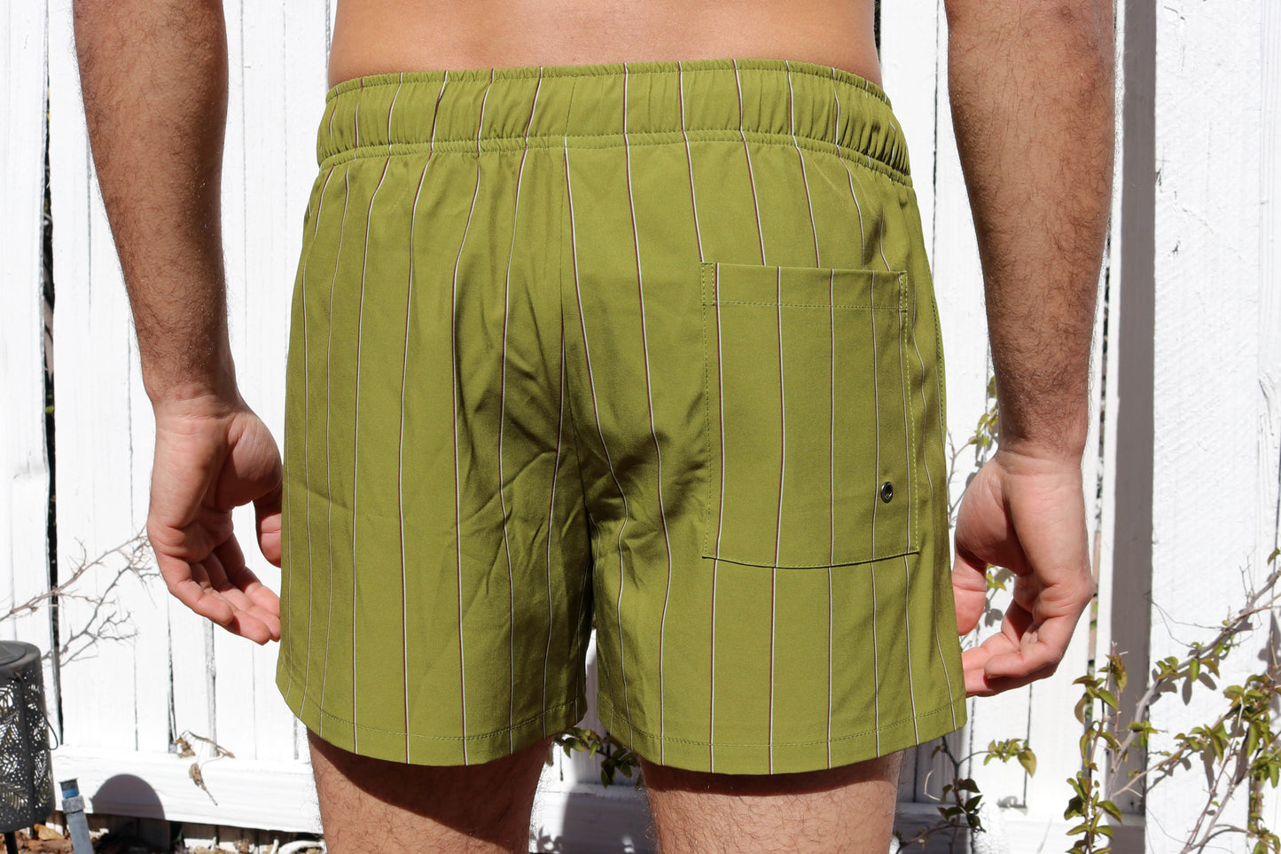 Embarcadero Short - Kiwi Stripe
